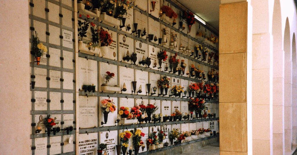 アフィリエイト初心者におすすめの5ジャンル（VOD、美容、転職、副業、健康）をまとめた図解