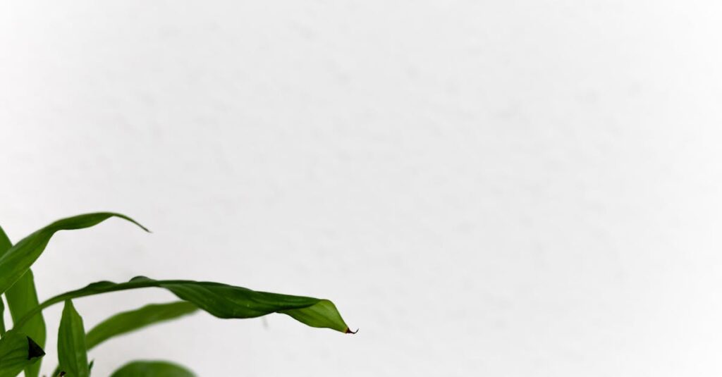 アフィリエイトブログで成果を上げる見出しとCTAボタンのデザイン事例。