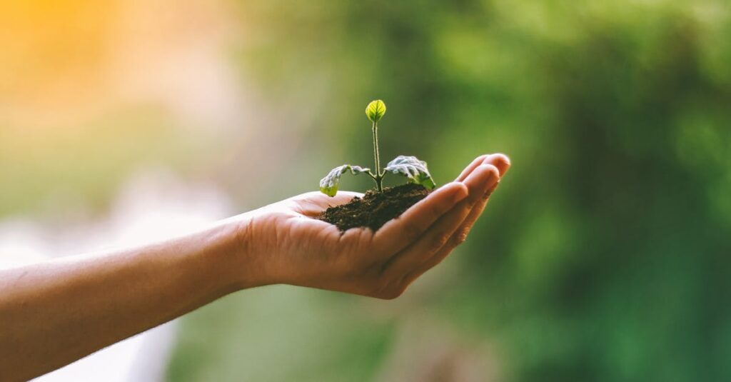 アフィリエイトの安定収益化ループを図解。記事作成→分析→改善→拡大のサイクルを示す。