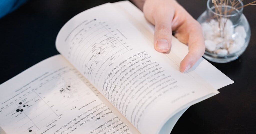 記事量と広告分析を並行して行う流れを図解：執筆→分析→改善→収益化