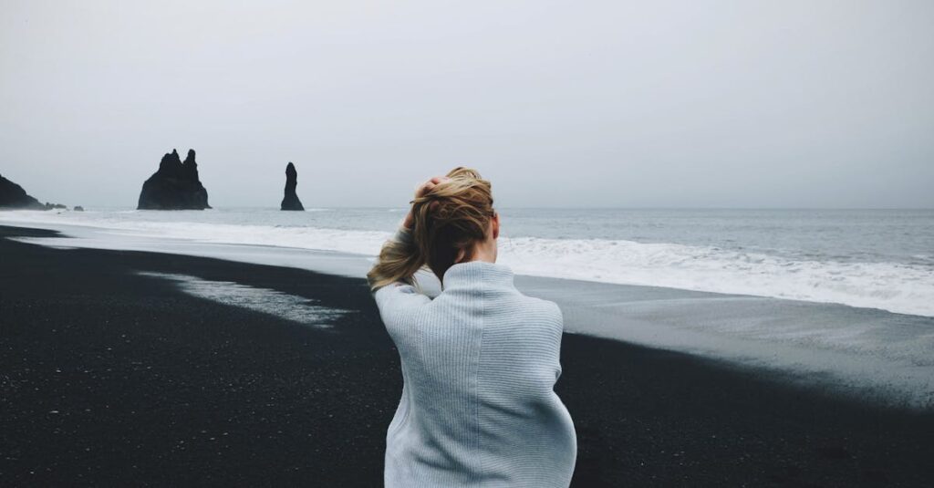 無料ブログから有料ブログへ移行して成長していく流れを表現したイメージ画像