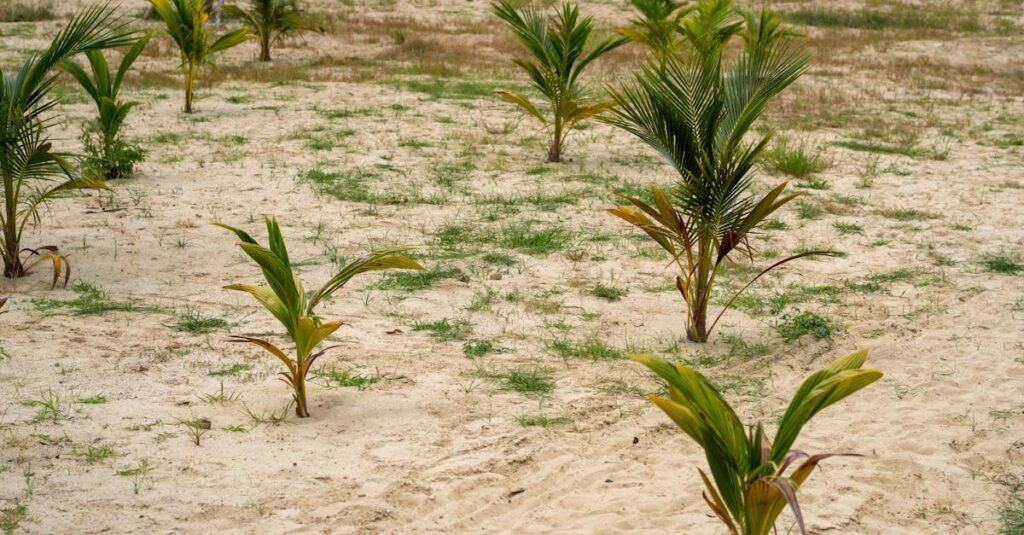 ブログ育成のステージ別やるべきこと一覧の図解