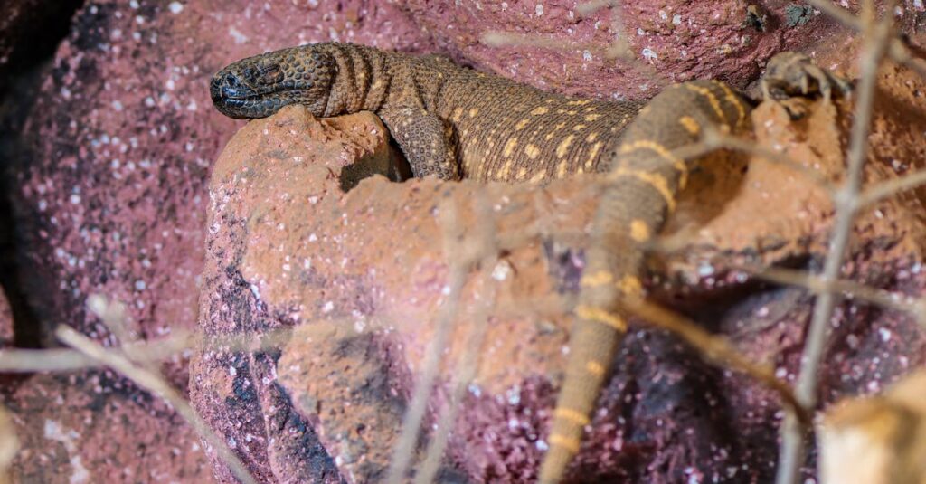 副業ブログで成功している人々の共通点を象徴するイメージ図