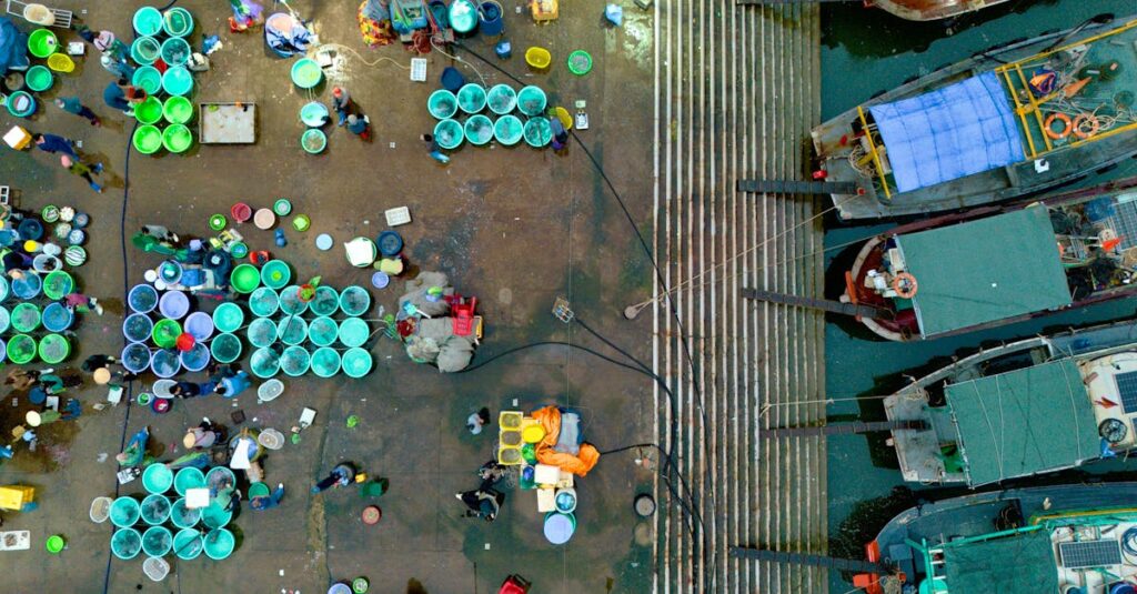 初心者向けブログ収益化のステップを解説する図