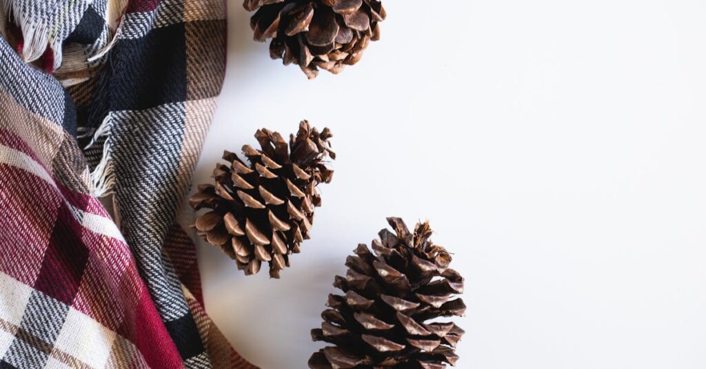 個人ブランドを構築する現代ブログ運営者のイメージ