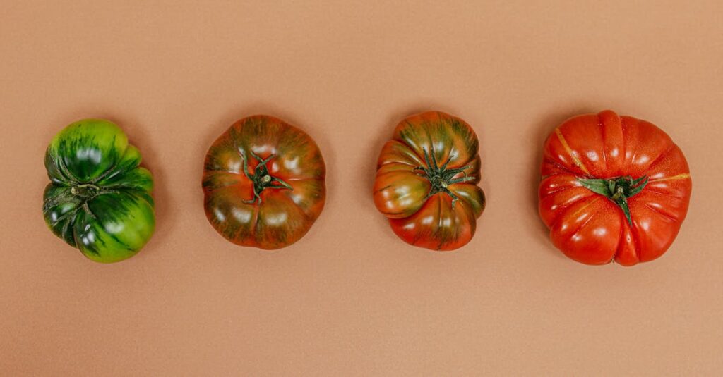 ブログ育成のステージ別やるべきこと一覧の図解