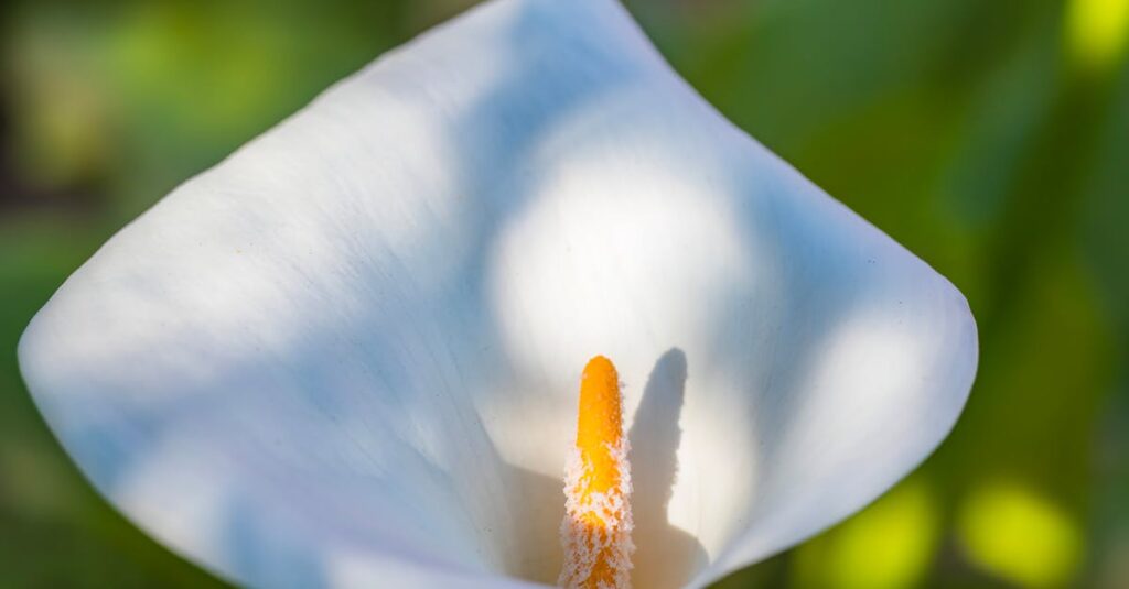 無料noteから有料note・マガジンへと読者が自然に流れる収益化導線のイメージ。安定収入につながる仕組みを視覚化